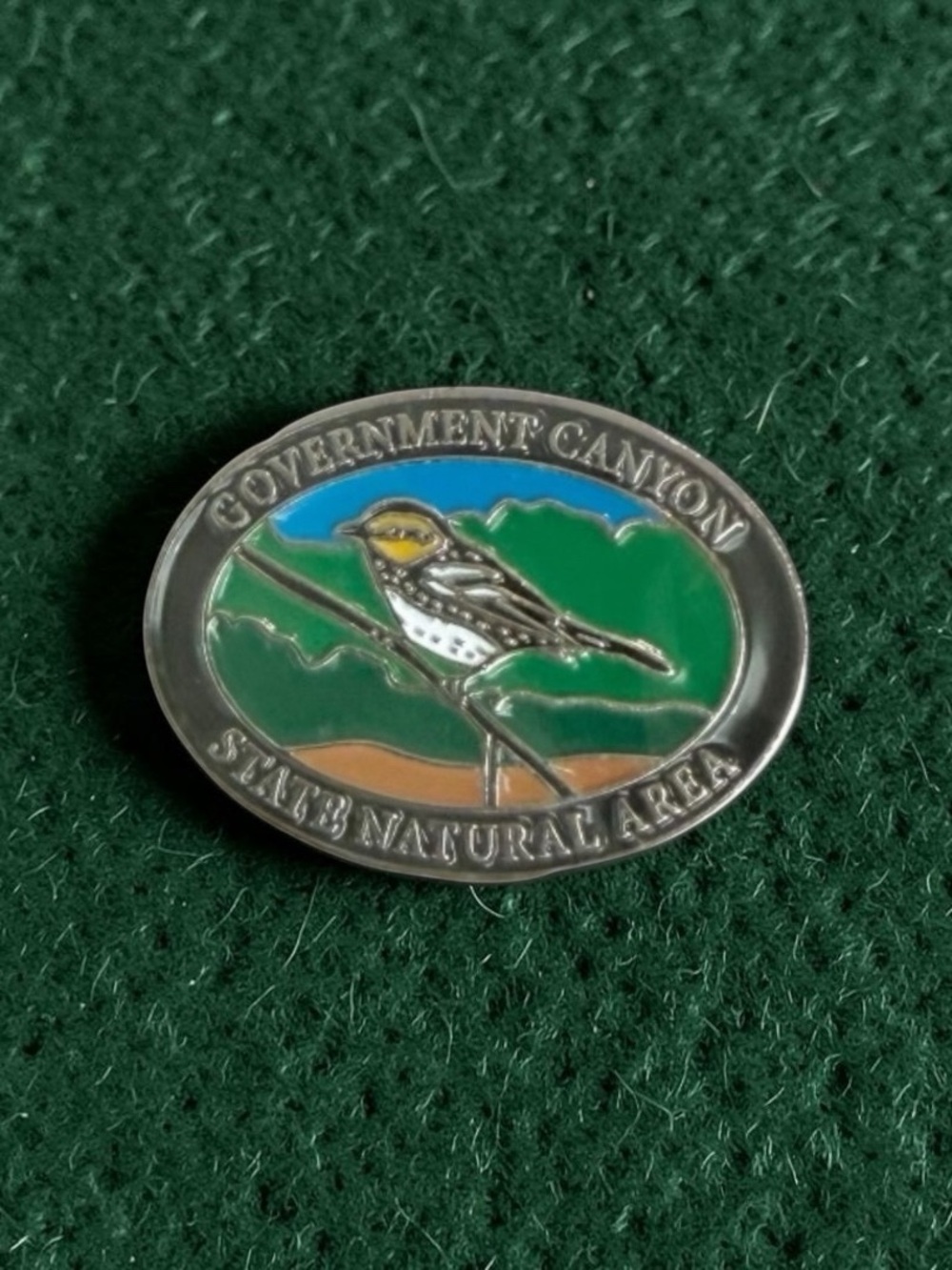 SAN ANTONIO TEXAS Travel Hike Canyon State Souvenir Park Pin Collectible New